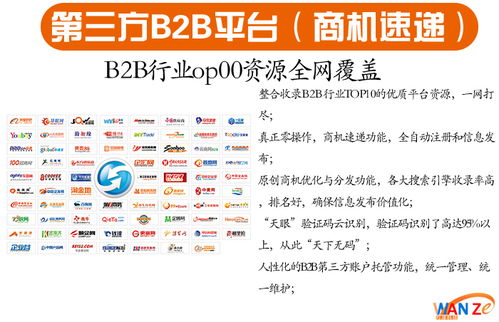 网络营销推广 聚焦安徽万泽与宣城市场的策略与实践