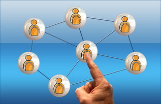 在西北创业赚钱的多元选择 互联网销售的新机遇